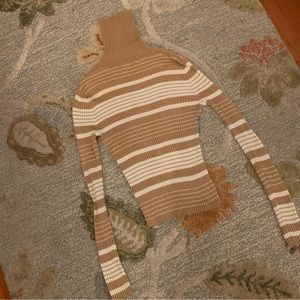 Stripped Turtleneck Sweater